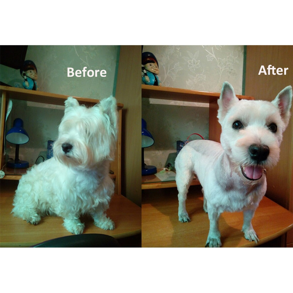 Ariseva Cordless Rechargable Pet Hair Trimmer 3mm 6mm 9mm 12mm